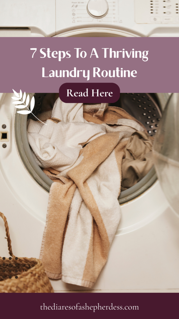 Laundry Routine Pin Laundry being put in a washer